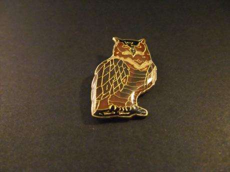 Uil ,nachtdier ,roofvogel ( bruin)
